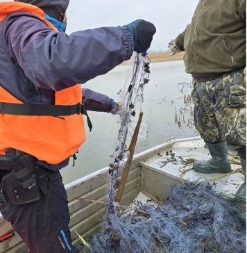 FOTO Lovitură pentru braconieri la Barajul Călimănești: zeci de plase ilegale distruse într-o acțiune de amploare