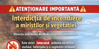 Avertisment și de la Direcția de Mediu: incendierea miriștilor și a vegetației atrage amenzi mari și dosare penale