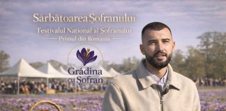 „Sărbătoarea Șofranului” – eveniment dedicat celei mai prețioase mirodenii din lume, organizat în Vrancea