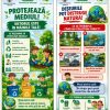 carton vrancea curata 1