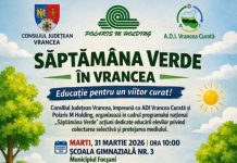 Educația pentru mediu începe cu tinerele generații: acțiuni dedicate elevilor din Focșani în cadrul „Săptămânii Verzi”