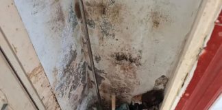 FOTO Deficiențe majore în depozitarea produselor alimentare