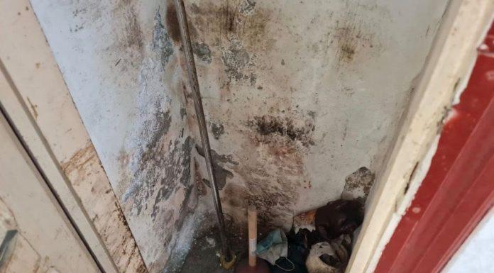 FOTO Deficiențe majore în depozitarea produselor alimentare