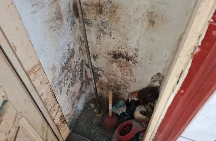 FOTO Deficiențe majore în depozitarea produselor alimentare