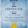 diploma radu gis