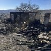 distrugere incendiu 1
