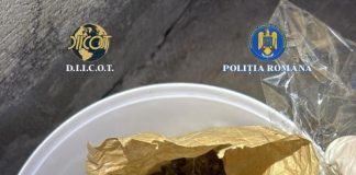 FOTO Și-a plantat canabis în curte și s-a apucat de comerț