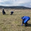 ecologizare raul milcov 1
