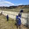 ecologizare raul milcov 5
