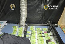 Fabrică de bani falși descoperită în Suceava