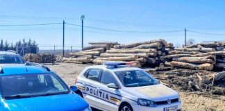 Garda Forestieră Focșani: controale, sancțiuni, avize și verificări în teren, în luna februarie