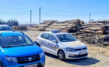 Garda Forestieră Focșani: controale, sancțiuni, avize și verificări în teren, în luna februarie