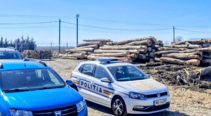 Garda Forestieră Focșani: controale, sancțiuni, avize și verificări în teren, în luna februarie
