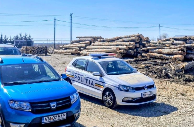 Garda Forestieră Focșani: controale, sancțiuni, avize și verificări în teren, în luna februarie