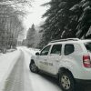 garda forestiera zapada