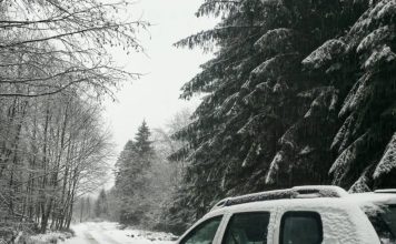 Garda Forestieră Focșani în 2025: peste 700 controale, 3000 mc material lemnos confiscat, amenzi de peste 1 milion lei