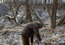 Garda Forestieră Focșani, în luna ianuarie: controale, monitorizare și sancțiuni