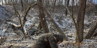 Garda Forestieră Focșani, în luna ianuarie: controale, monitorizare și sancțiuni