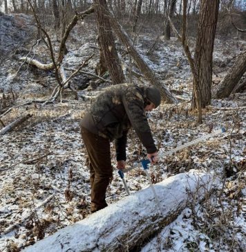 Garda Forestieră Focșani, în luna ianuarie: controale, monitorizare și sancțiuni