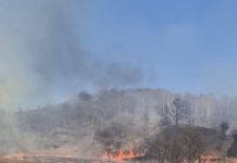 Avertisment de la pompieri: Arderea vegetației este strict interzisă!