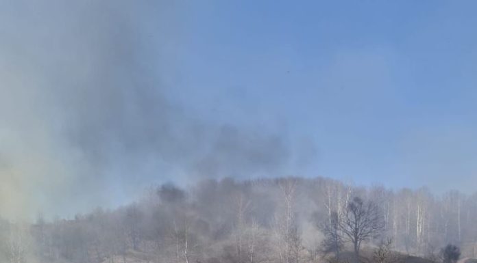 Avertisment de la pompieri: Arderea vegetației este strict interzisă!