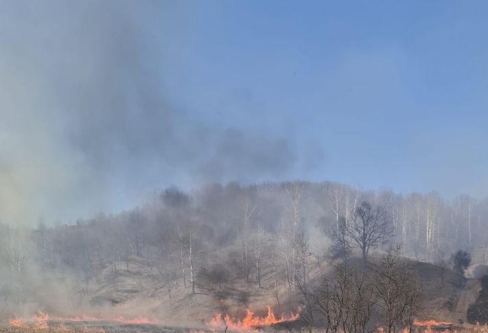 Avertisment de la pompieri: Arderea vegetației este strict interzisă!