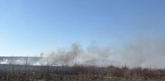 Garda de Mediu: Arderea vegetației uscate și a resturilor vegetale este strict interzisă