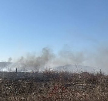 Garda de Mediu: Arderea vegetației uscate și a resturilor vegetale este strict interzisă