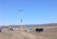 Ce spune Poliția despre accidentul în care a fost implicată o autospecială cu doi polițiști și un elev aflat în practică