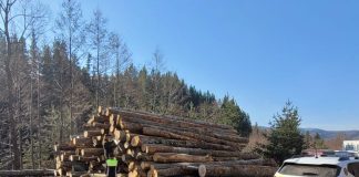 Lemnele la control în Vrancea. 49 de amenzi în cinci zile