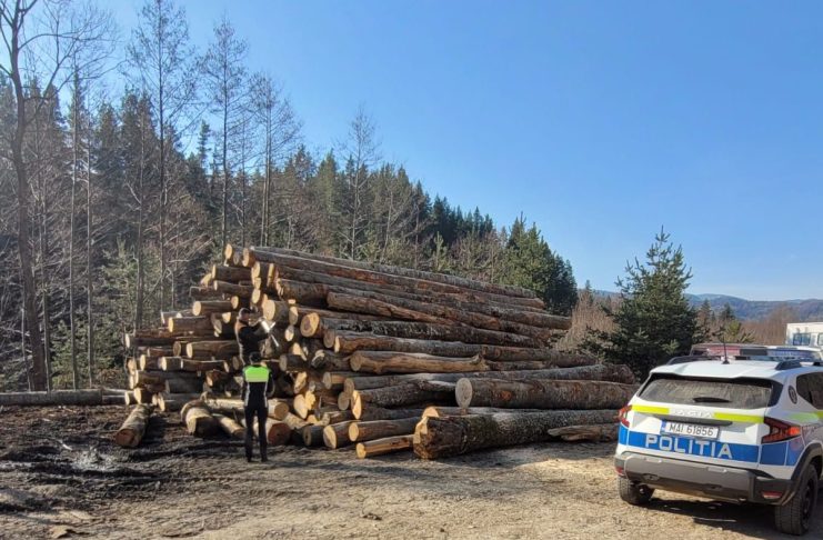 Lemnele la control în Vrancea. 49 de amenzi în cinci zile