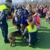 politie siguranta odobesti (1)