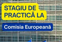 În atenția absolvenților români de studii superioare