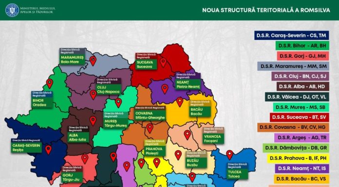 Reorganizare Romsilva: se înființează Direcția Silvică Regională Vrancea, cu sediul la Focșani