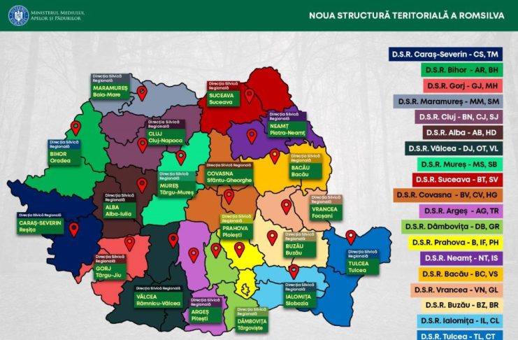 Reorganizare Romsilva: se înființează Direcția Silvică Regională Vrancea, cu sediul la Focșani