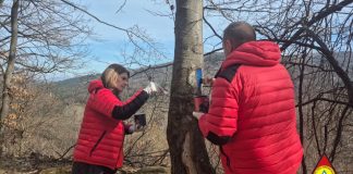 FOTO Traseele din Munții Vrancei, verificate și curățate de salvamontiști