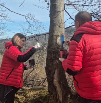 FOTO Traseele din Munții Vrancei, verificate și curățate de salvamontiști