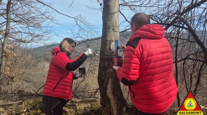 FOTO Traseele din Munții Vrancei, verificate și curățate de salvamontiști