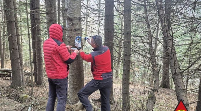 Salvamontiștii au continuat lucrările de verificare și refacere a traseelor turistice din Munții Vrancei