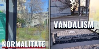 Stație de autobuz vandalizată în zona cartierului ANL-Sud