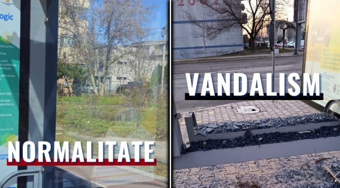 Stație de autobuz vandalizată în zona cartierului ANL-Sud