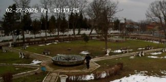 FOTO Bărbat surprins de camerele de supraveghere în timp ce vandaliza parcul din Petrești