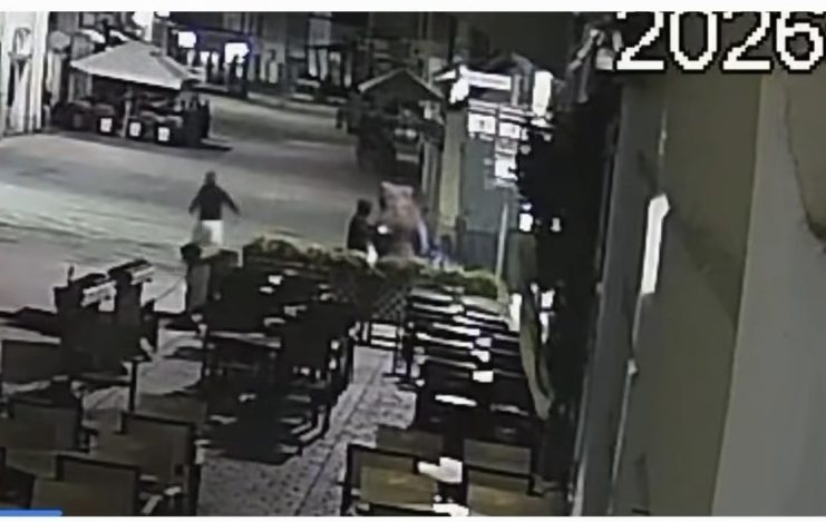 VIDEO Un tânăr din Odobești s-a ”luptat” cu mascota unui urs și s-a ales cu dosar penal. El a provocat pagube pe terasa unui restaurant din Brașov