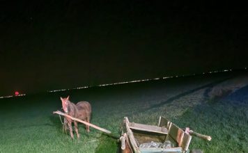 S-a răsturnat cu căruța și a murit