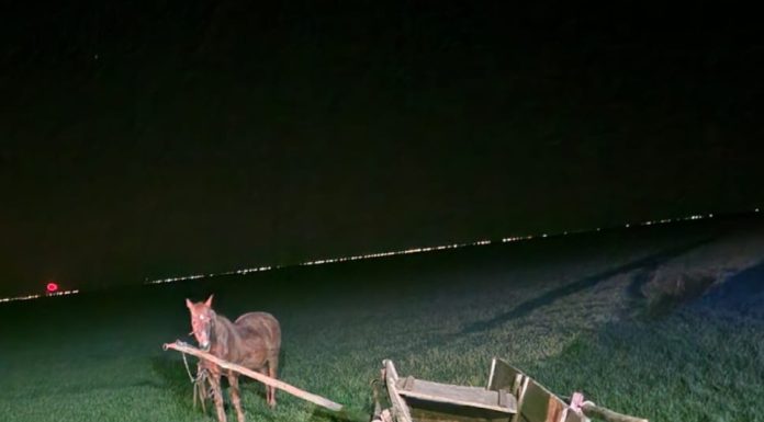 S-a răsturnat cu căruța și a murit