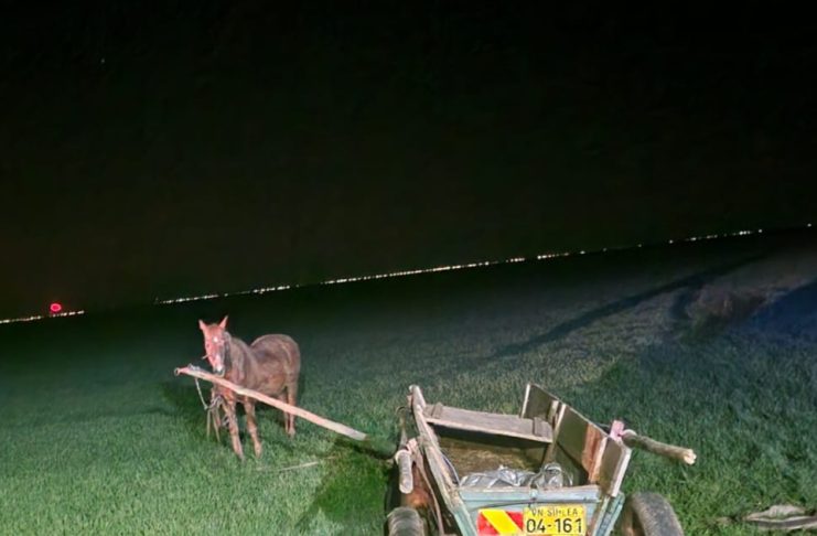 S-a răsturnat cu căruța și a murit