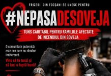 carton soveja frizeri