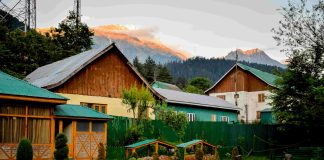 Ghidul complet pentru alegerea echipamentului de pompare a apei