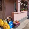 donatii bocu 1