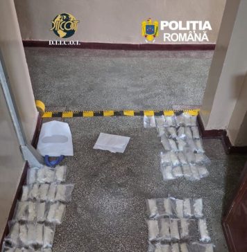 Opt kg de droguri de mare risc descoperite la traficanți din Vrancea, Brăila și Galați
